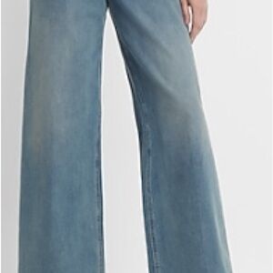 Express Blue Flare Wide Leg Jeans